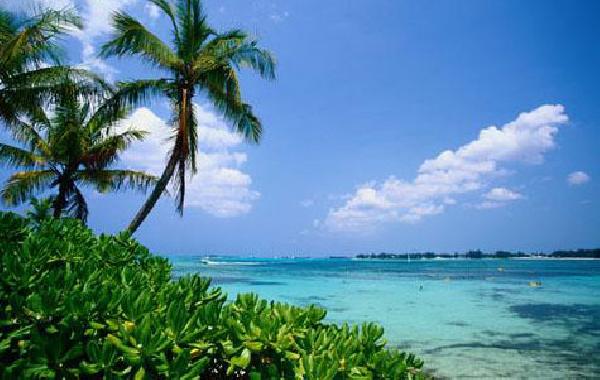 Багамы. Фото Багам. Фотографии Багам: фото отелей Багам, фото гостиниц Багам! А также: пейзажи Багам, отели Багам, достопримечательности Багам, курорты Багам, туры Багам